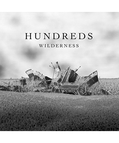 Hundreds Wilderness Vinyl Record $14.25 Vinyl