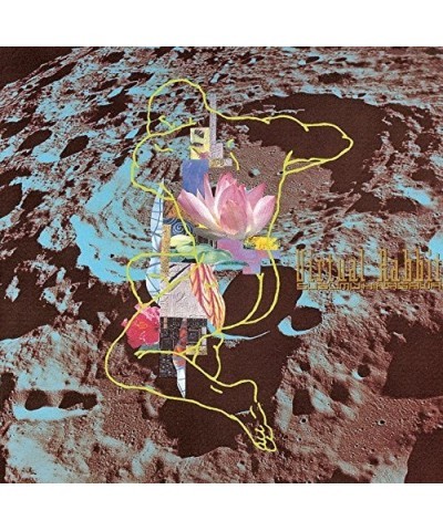 Susumu Hirasawa VIRTUAL RABBIT CD $23.86 CD